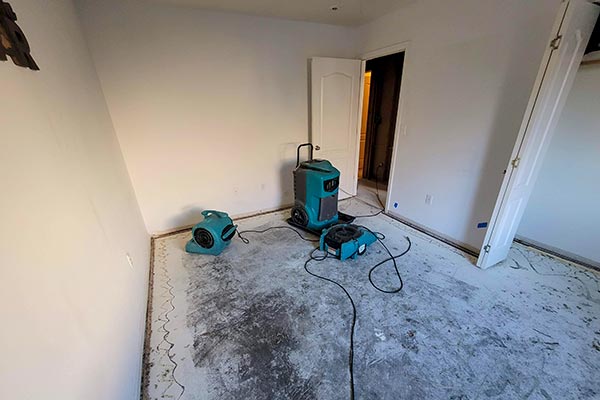 Learn More About Water Mitigation